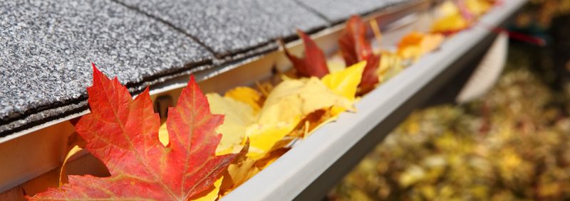 Herbst